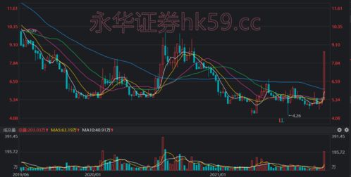 怎样能买股票(怎样买股票不会被套)