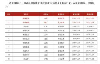 新股申购显示可申购0股(为什么可申购新股数是0)