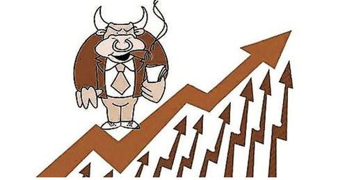 基金怎么玩才能赚钱(基金怎么买才能稳赚不赔)