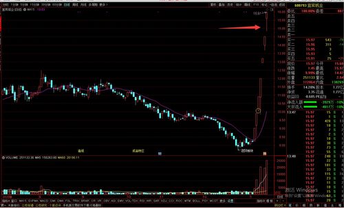 只做一种盈利模式炒股(用盈利炒股)