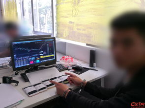 虚拟股票平台炒股被骗(利用机构账户炒股被骗)