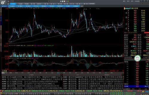 职业股民需要多少资金(职业股民需要多少资金才能投资)