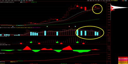 买一支股票最低多少钱(买一支股票最低多少钱合适)