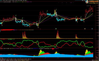 周线选股法100%成功(周线选股法100%成功暴涨)