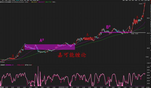 300600000开头股票(300600是什么股票)