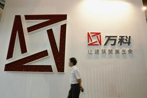 成立股票工作室需要什么条件(成立股票工作室需要什么条件和手续)