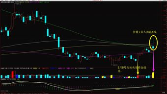 最新股票交易规则详解(全面注册制股票交易规则)