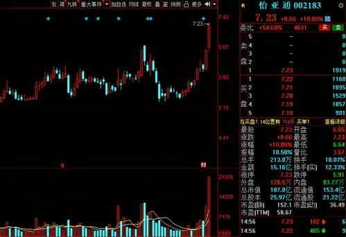 股票的12位资金账号是什么(股票的12位资金账号是什么意思)