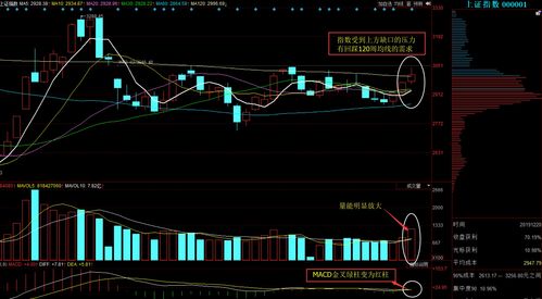值得入手股票(2021最值得入手的股票)