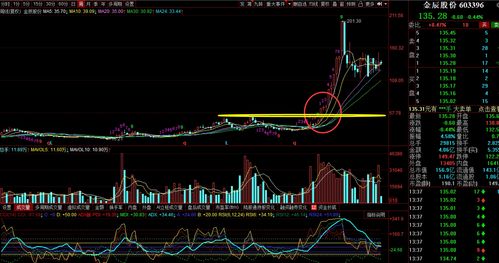正规的股票t0平台(股票t0平台诈骗曝光)