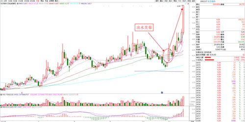 股票一天赚100需要投多少钱(股票一天赚100块难吗)