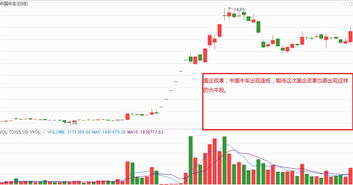 港股20年大牛股排行(港股20年大牛股排行榜)
