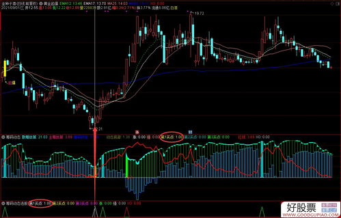 如何寻找主力和庄家(股市中如何寻找主力)