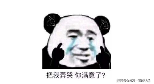 贵精不贵多什么意思(贵精而不贵多什么意思)