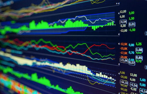 一般玩股票的人在哪里买股票(玩股票在哪里玩)