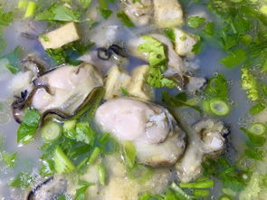 补精壮阳的最佳方法(补精壮阳的药物有哪些)