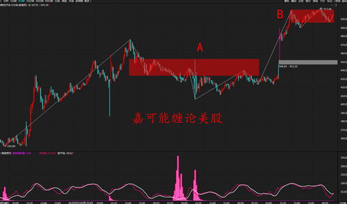 带N字母的股票属于什么股票(股票带n字头的是什么)