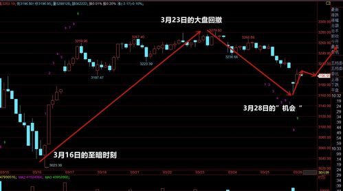 股市的钱最终流向哪里(股市的钱流向哪里了)
