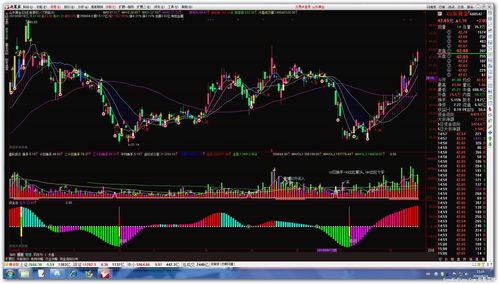 a股b股n股h股s股含义(a股b股h股n股s股区别)
