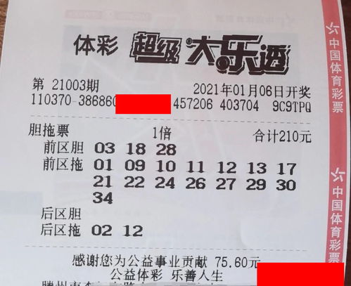 20元胆拖大乐透怎么买(大乐透20元胆拖中三个号是多少钱)