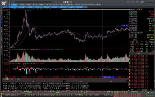 有b股的股票能重组吗(有b股的股票能重组吗知乎)