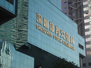 深圳a股怎么开通(深圳a股怎么开通交易权限)