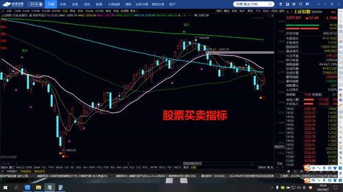 股票如何买卖(股票如何买卖操作流程)