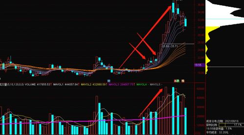 高位无量就要拿,拿错也要拿(股票高位无量就要拿)