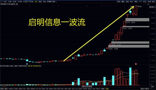 超级大牛股的特征(超级大牛市股票可以翻几倍)