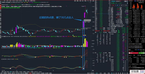 战略家主战系统指标(战略家是干什么的)