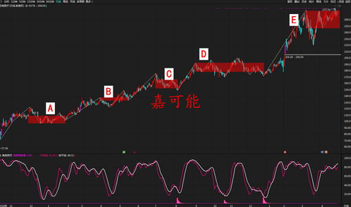 A股注册制后还能炒股吗(a股注册制对散户影响)