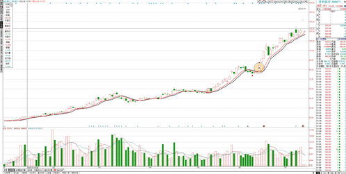 英科医疗股价涨了40倍(英科医疗2020股价)