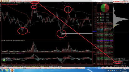 永不亏钱的股票(永远不会亏的股票)