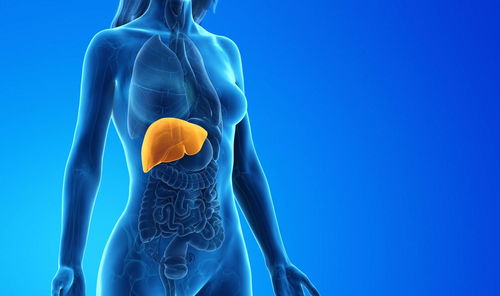 乙肝最明显的4个征兆(小三阳转阴最简单方法)