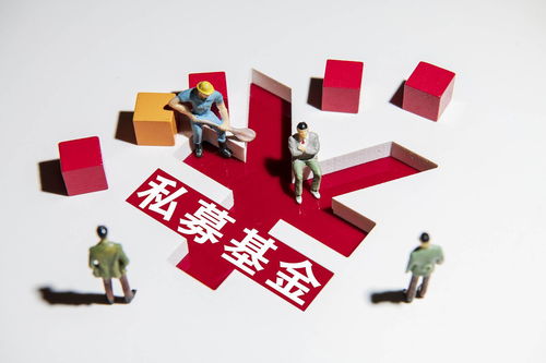 小型私募公司成立条件(小型私募公司成立条件要求)