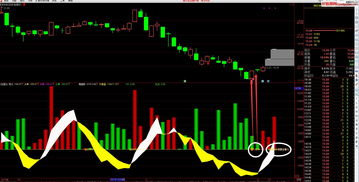 股市天赋(股市高手都有天赋)