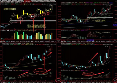 买黑马股是看日线还是周线好(股票黑马什么意思)