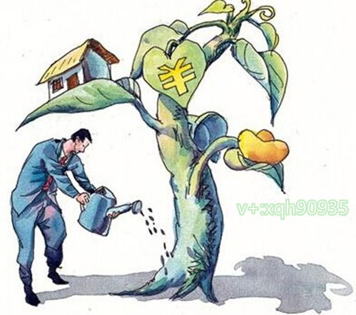 新手创业投资小(十大冷门暴利生意)