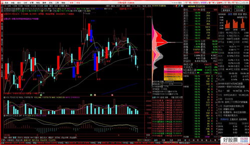 新经典股票(新经典股票分析)