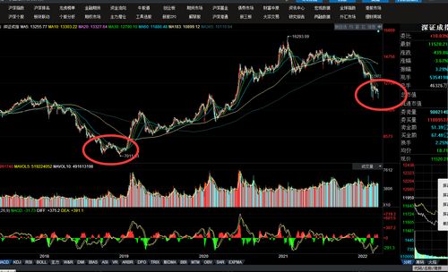 2023年牛市的可能性有多大(中国股市下一个牛市时间预测)
