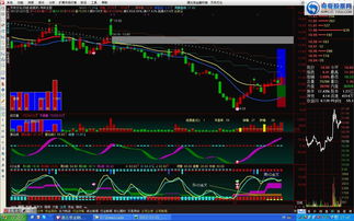 最简单最牛的选股方法(最佳的选股方法)