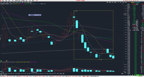 怎样看主力资金流入和流出(怎样看主力资金流入和流出状况)