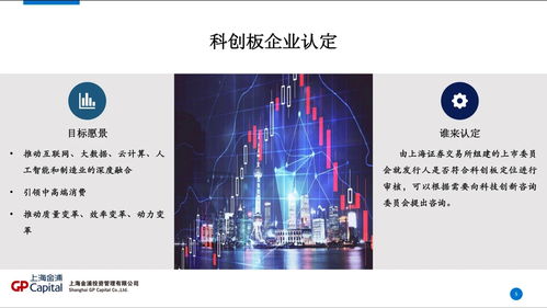 科创板公司上市条件(科创板的上市条件)