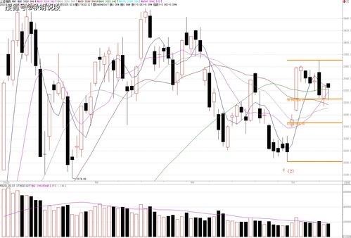 股票是一种设权证券(股票是一种证券)