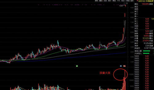 一键诊股(诊股工具)