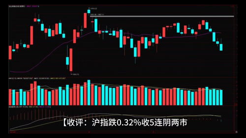 2023年最热门的股票有哪些(2023年上市会爆发吗)
