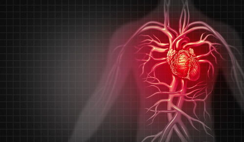 贵精不贵多(寒灯絮语古人读书贵精不贵多)