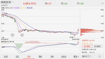妖股绿庭投资(股票绿庭投资有风险吗)