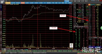 炒股怎么注册和开户(炒股怎么注册和开户要钱吗)