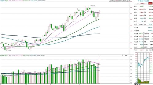 香港注册制后股市走势(香港注册制前后券商涨了多少)